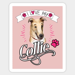 I Love my Collie (Smooth Coat Collie Puppy) Sticker